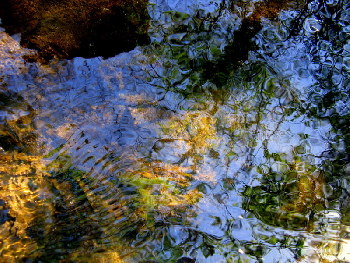 Colorful reflections upon water