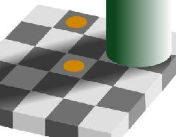 The upper disk and the lower disk have exactly the same objective color, and are in identical gray surrounds; based on context differences, humans perceive the squares as having different reflectances, and may interpret the colors as different color categories; see same color illusion.