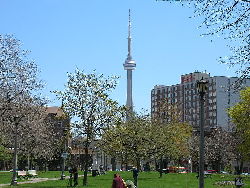 The CN Tower, as seen from Trinity Bellwoods Park in the west end of Toronto