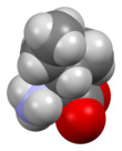 Space-filling model of L-isoleucine