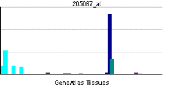 PBB GE IL1B 205067 at.png