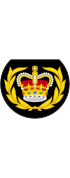 British Royal Marines OR-8.svg