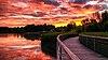 Rouge Beach Pond Boardwalk sunrise.jpg