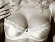 Brassiere-white.jpg