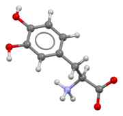 L-DOPA-from-xtal-view-2-3D-bs-17.png