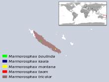 Marmorosphax sp. distribution.svg