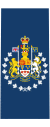 Canadian RCAF OR-10.svg