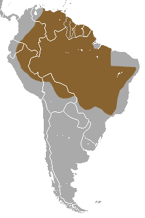 Cabasu area.png