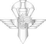 Gruppo di Intervento Speciale Official Insignia