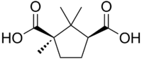 Skeletal formula of camphoric acid