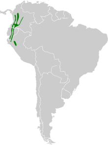 Phaethornis syrmatophorus map.svg