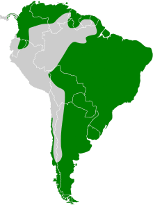 Vanellus chilensis map.svg