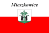 Flag of Mieszkowice