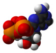 ATP-xtal-3D-vdW.png