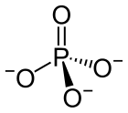 Stereo skeletal formula of phosphate