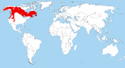 Perisoreus canadensis range.png