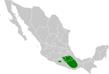 Campylorhynchus jocosus map.svg