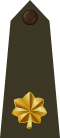 US Army O4 (Army greens).svg