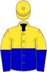 Yellow and blue halved (horizontal), yellow cap