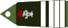 Army-FRA-OF-03-ROTATION-CAVALRY.svg