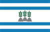 Flag of Ortigueira