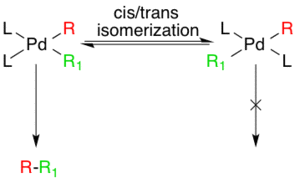 Generation of active species via cis/trans isomerism