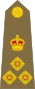 British Army (1928-1953) OF-6.svg