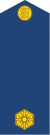 Estonia-AirForce-OF-(D).svg
