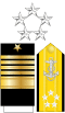 US Navy O11 insignia.svg