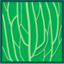 Leaf morphology longitudinal.png