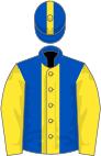 Royal blue, yellow stripe and sleeves, stripe on cap