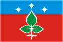 Flag of Pushchino