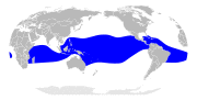 Sula sula map.svg