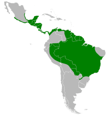 Cochlearius cochlearius map.svg