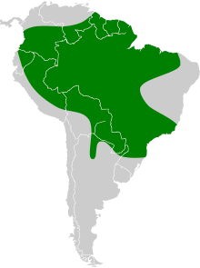 Cynomops abrasus map.svg