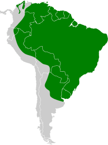 Phaetusa simplex map.svg