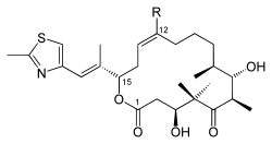 Epothilones C (R = H) and D (R = Me)