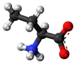 Ball-and-stick model of the α-aminobutanoic acid molecule as a zwitterion