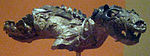 Thrinaxodon Lionhinus.jpg