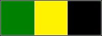 SA motorised infantary beret bar.jpg