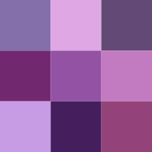 Color icon purple v2.svg