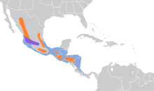 Empidonax albigularis map.svg