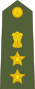 Colonel of the Indian Army.svg