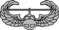 AirAssault.svg