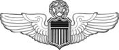 COMMAND PILOT WINGS.png