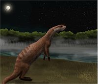 Potamotherium.jpg