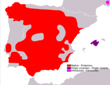 Lepus granatensis range Map.png