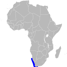Phalacrocorax neglectus map.svg