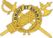 USA - Inspector General Branch Insignia.png