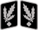 SS-Gruppenführer Collar Rank.svg